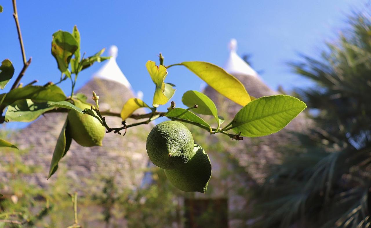 Trulli And Nature Antonelli Ngoại thất bức ảnh