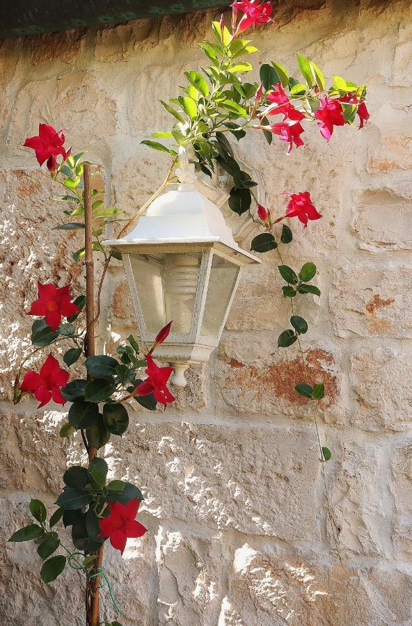 Trulli And Nature Antonelli Ngoại thất bức ảnh