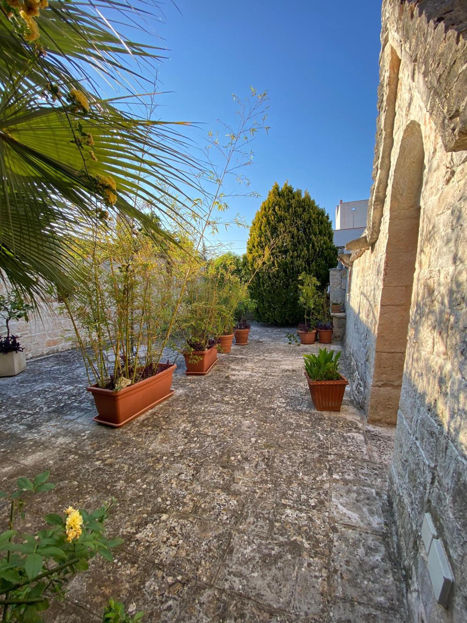 Trulli And Nature Antonelli Phòng bức ảnh