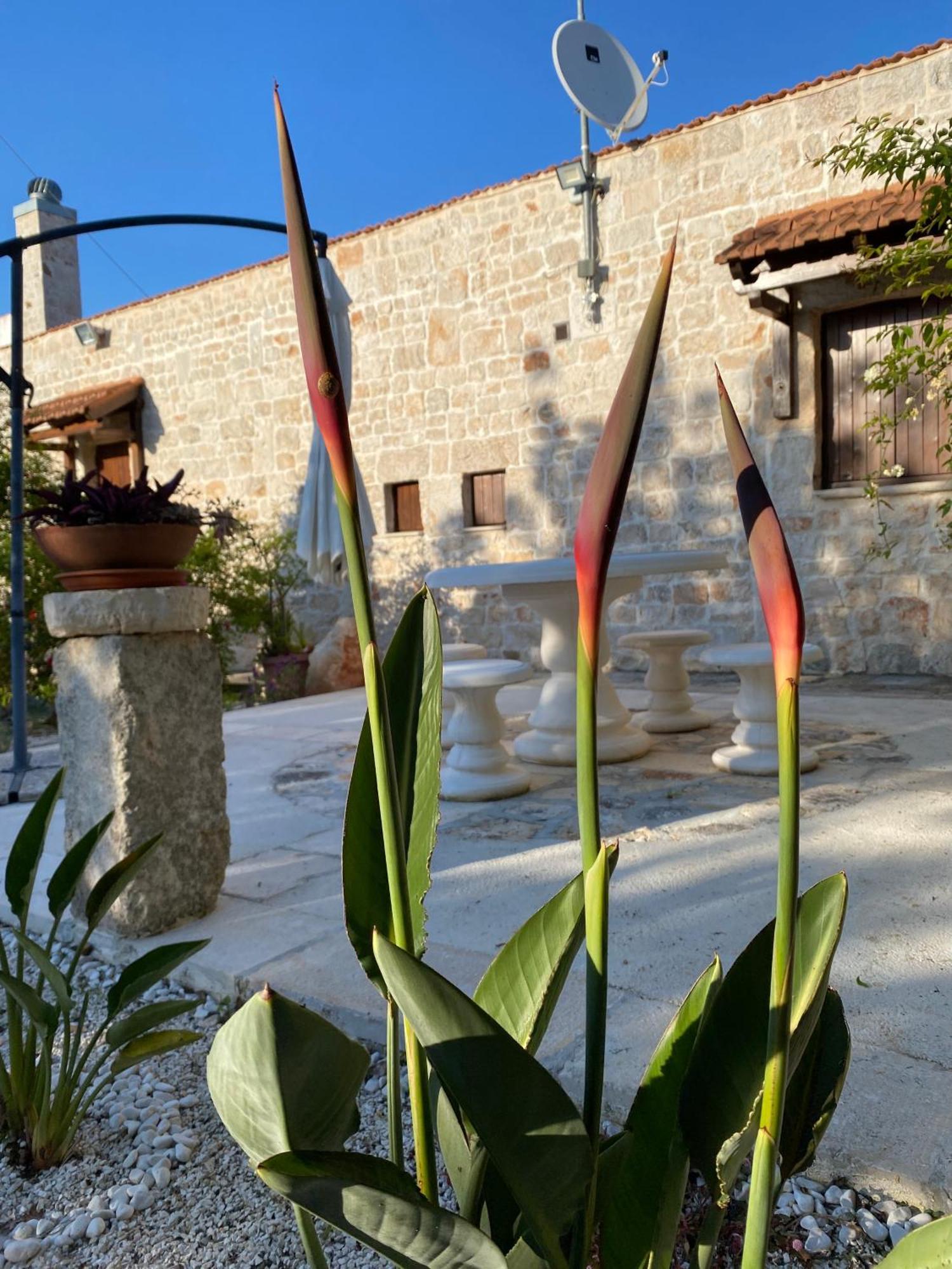 Trulli And Nature Antonelli Phòng bức ảnh