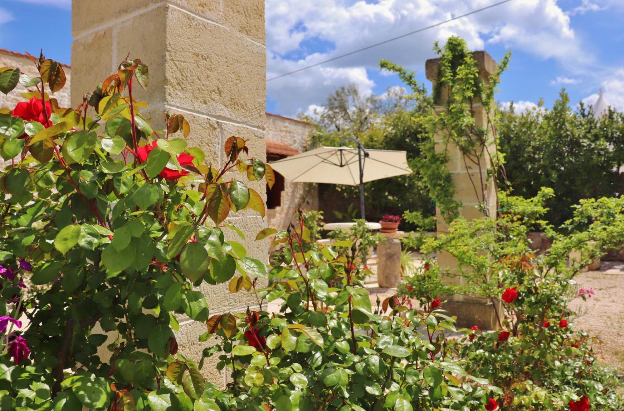 Trulli And Nature Antonelli Phòng bức ảnh