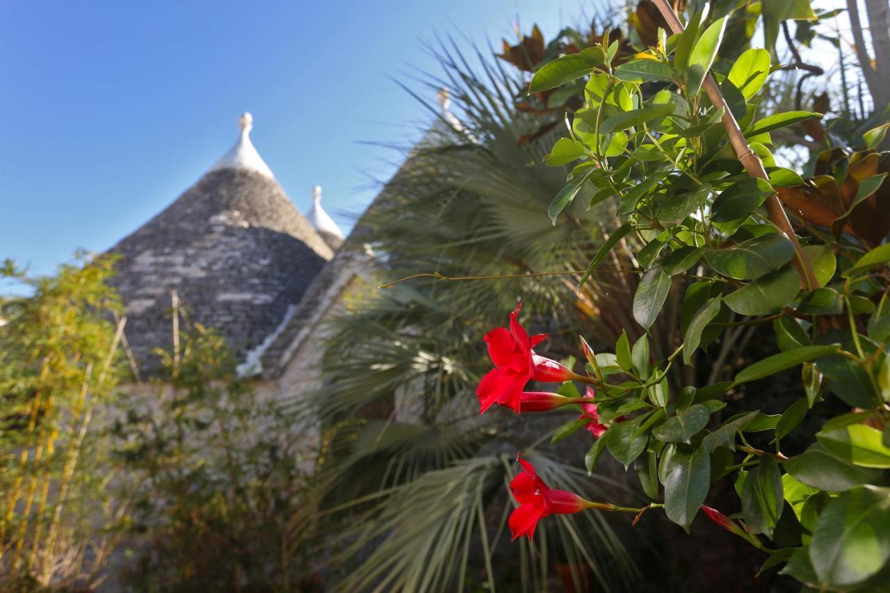 Trulli And Nature Antonelli Ngoại thất bức ảnh